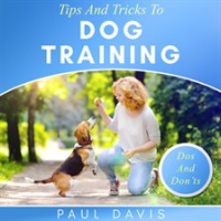 Tips_and_Tricks_to_Dog_Training